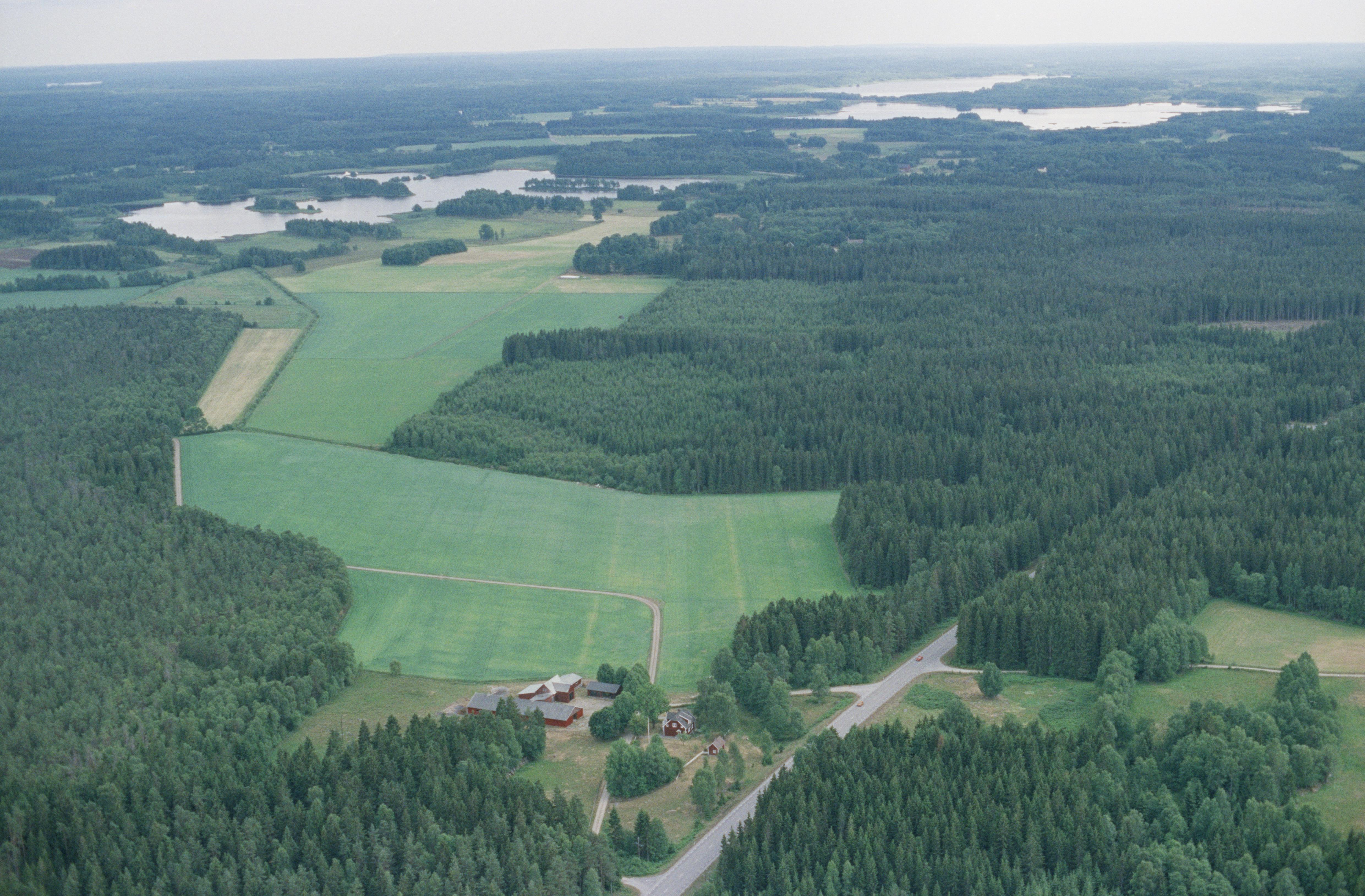 Jan Norrman, Virestad 240:1