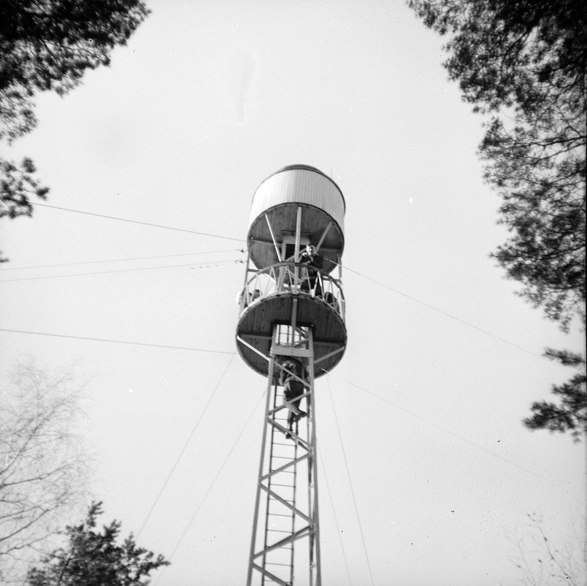 Adolf Skjegstad, ASK-04019