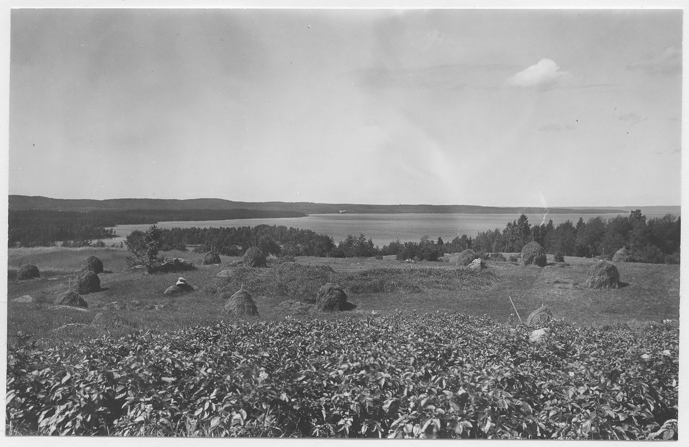Mårten Sjöbeck, Skeppshult