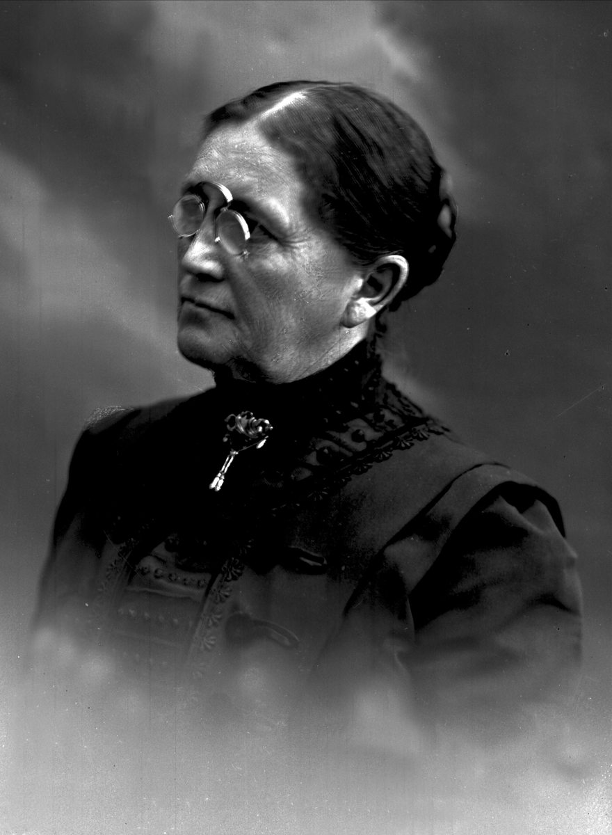 Gustav Borgen, NFB.04779