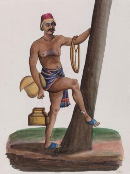 Unknown, A toddy-tapper