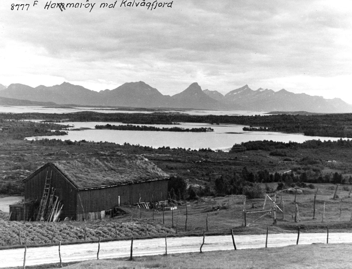 Anders Beer Wilse, Topografi
