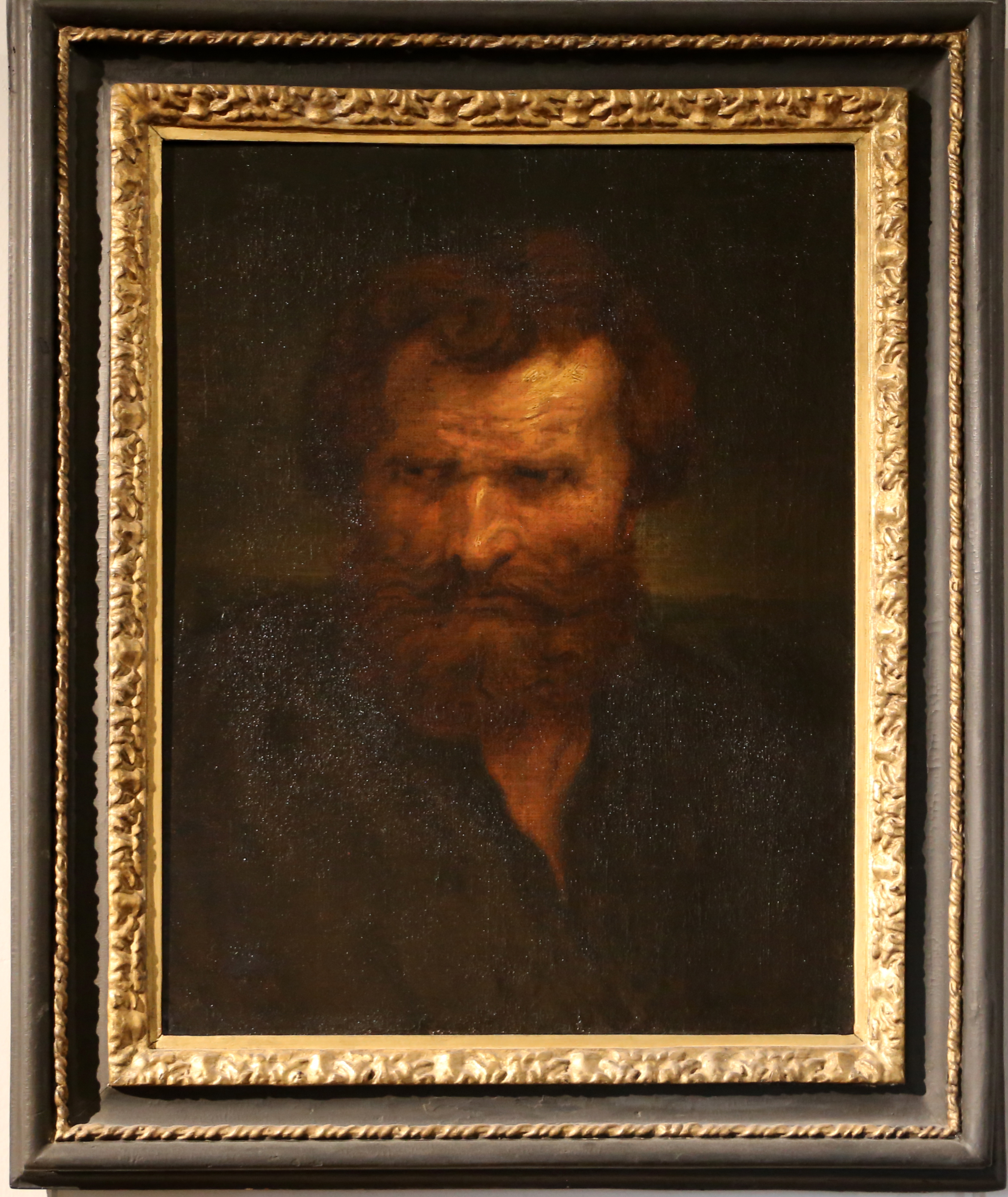 Jacob Jordaens, Tête d'homme