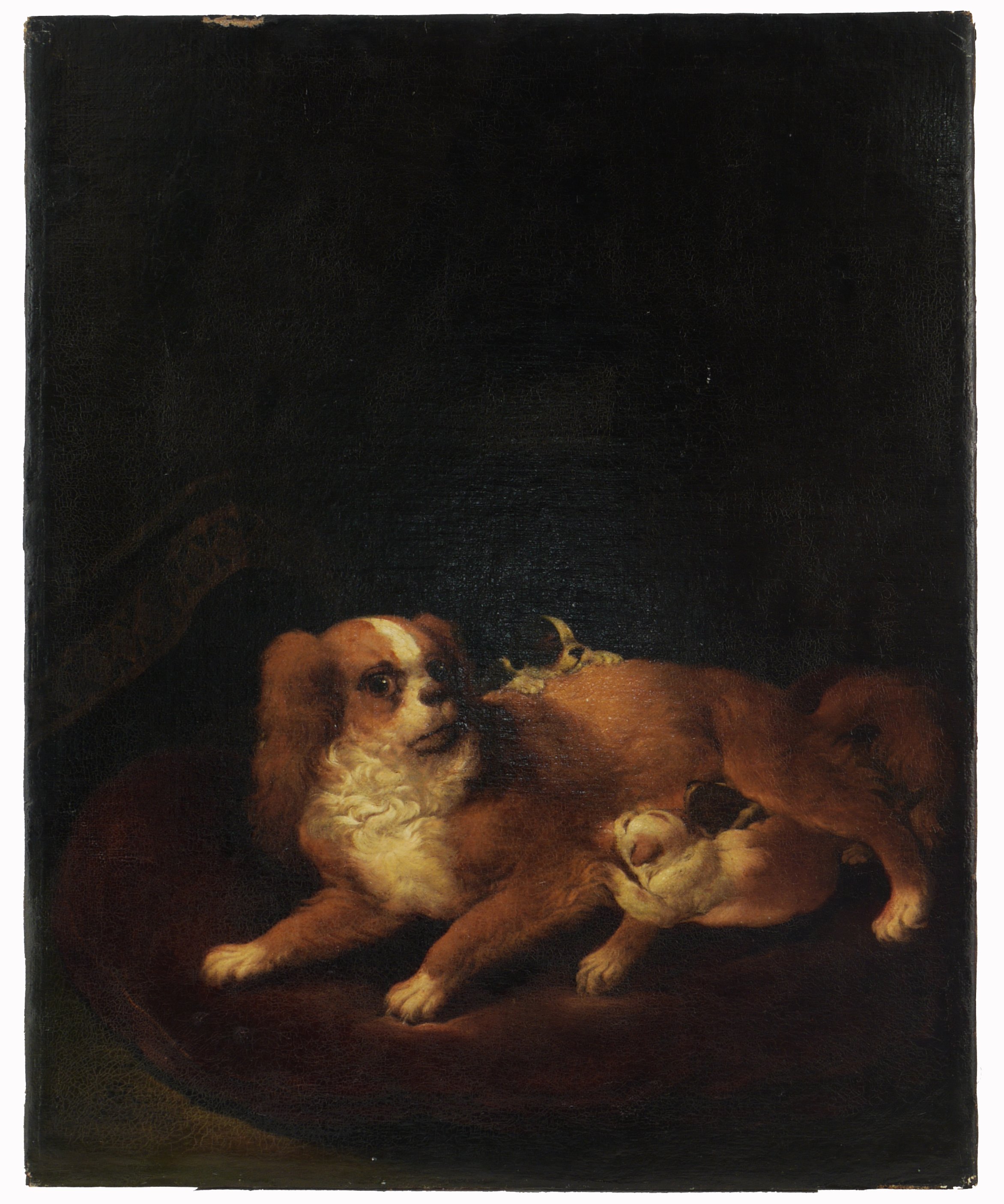 Johann Melchior Roos, Eine Malteserhündin mit drei Jungen