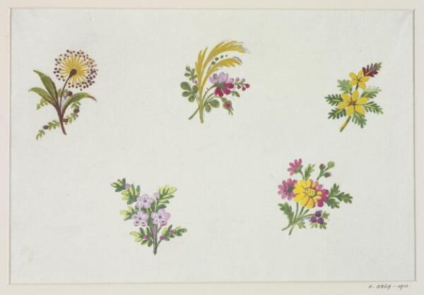 Unknown, Drawing