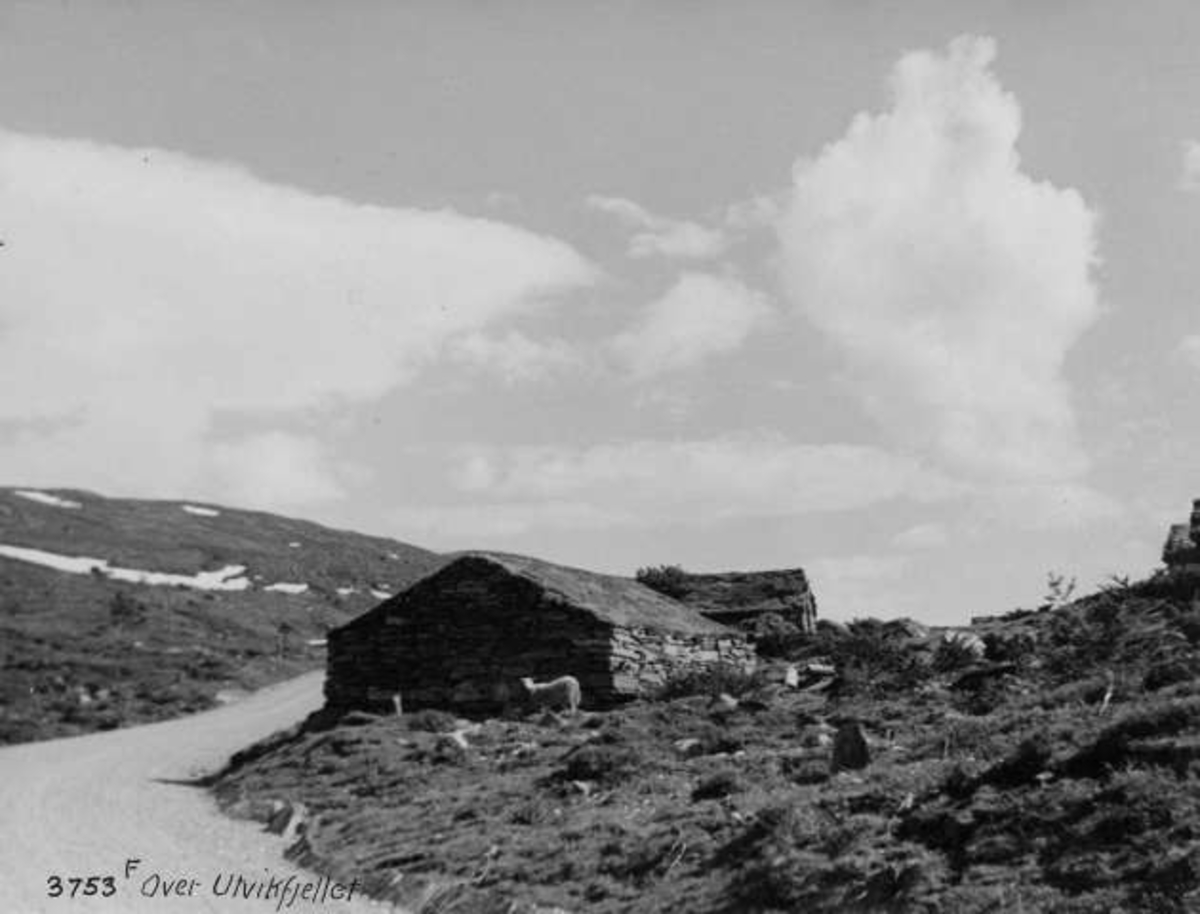 Anders Beer Wilse, -6768