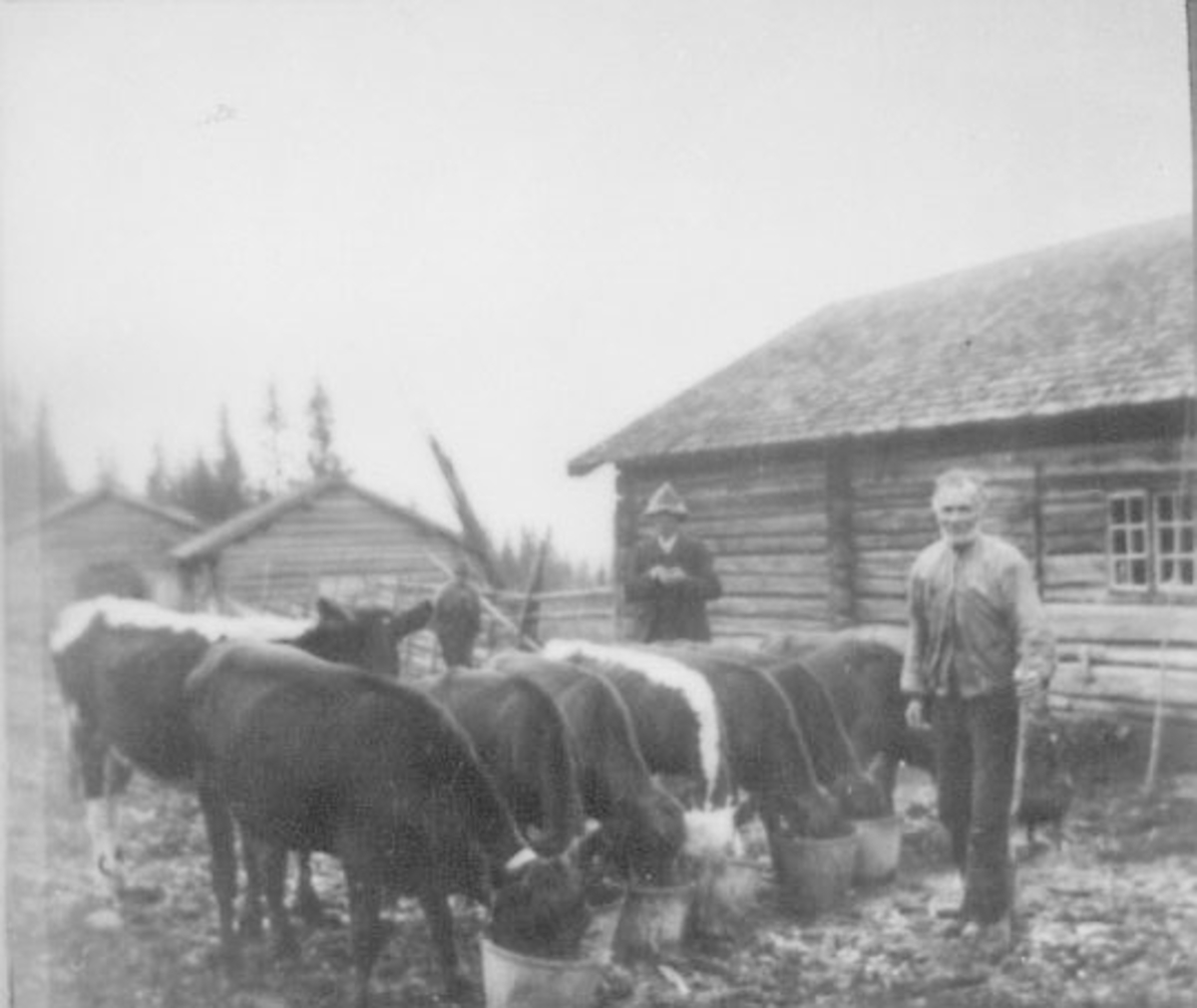 Normann Helger, KUER FORES, KALVER DRUKKER VANN, SVEISER MARTINIUS ANDERSEN, BAK: SAKFØRER HALVOR ERIKSEN OG BERNT R. PAULSEN, BLEKUFJELLSETER, TRYSIL