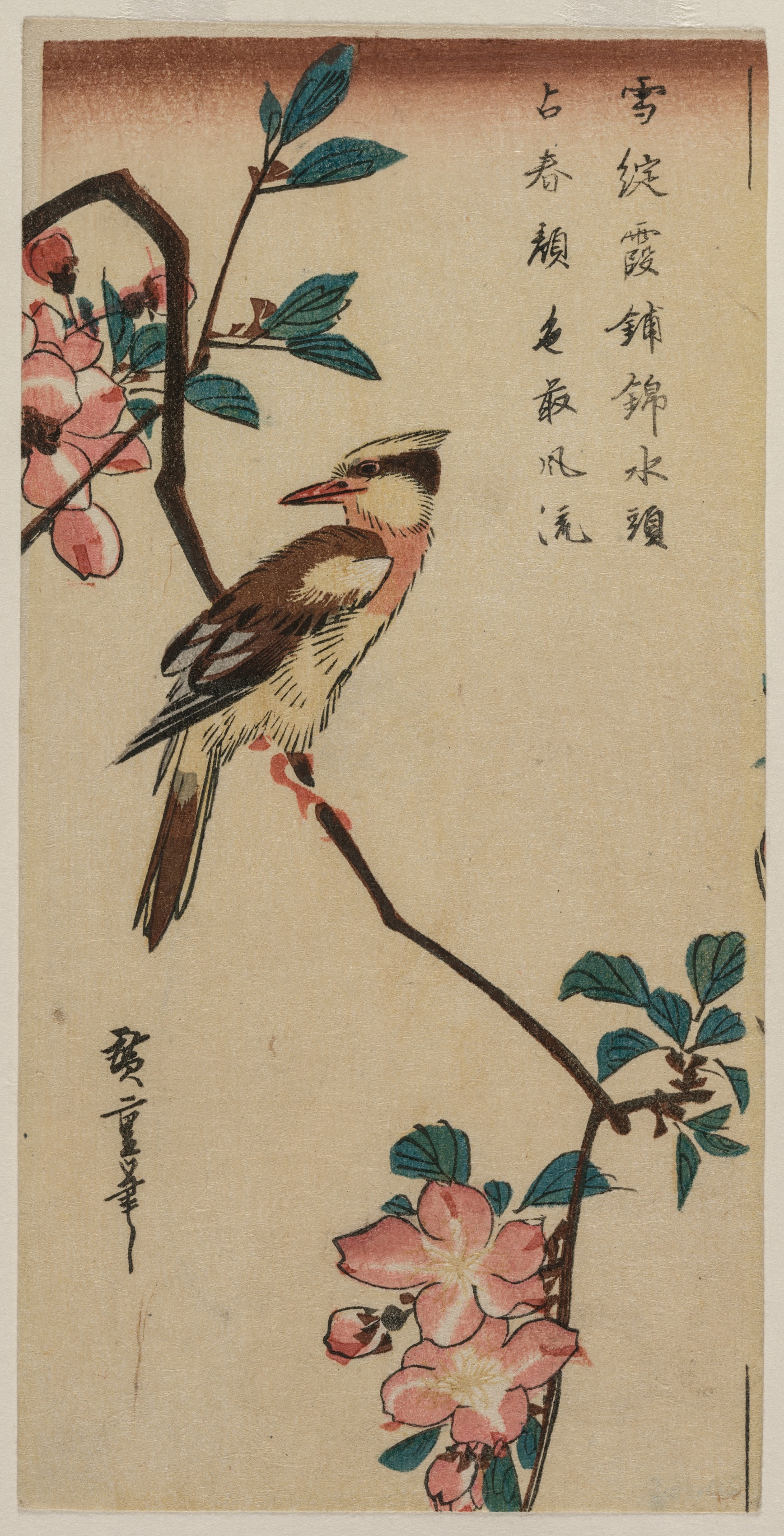Utagawa Hiroshige, Black-Naped Oriole (Korean Warbler) on a Hall Crabapple