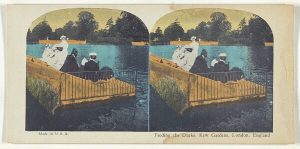 Unknown, Feeding the Ducks, Kew Gardens, London, England