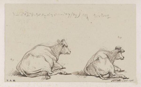 George Chinnery, Two drawings of a cow