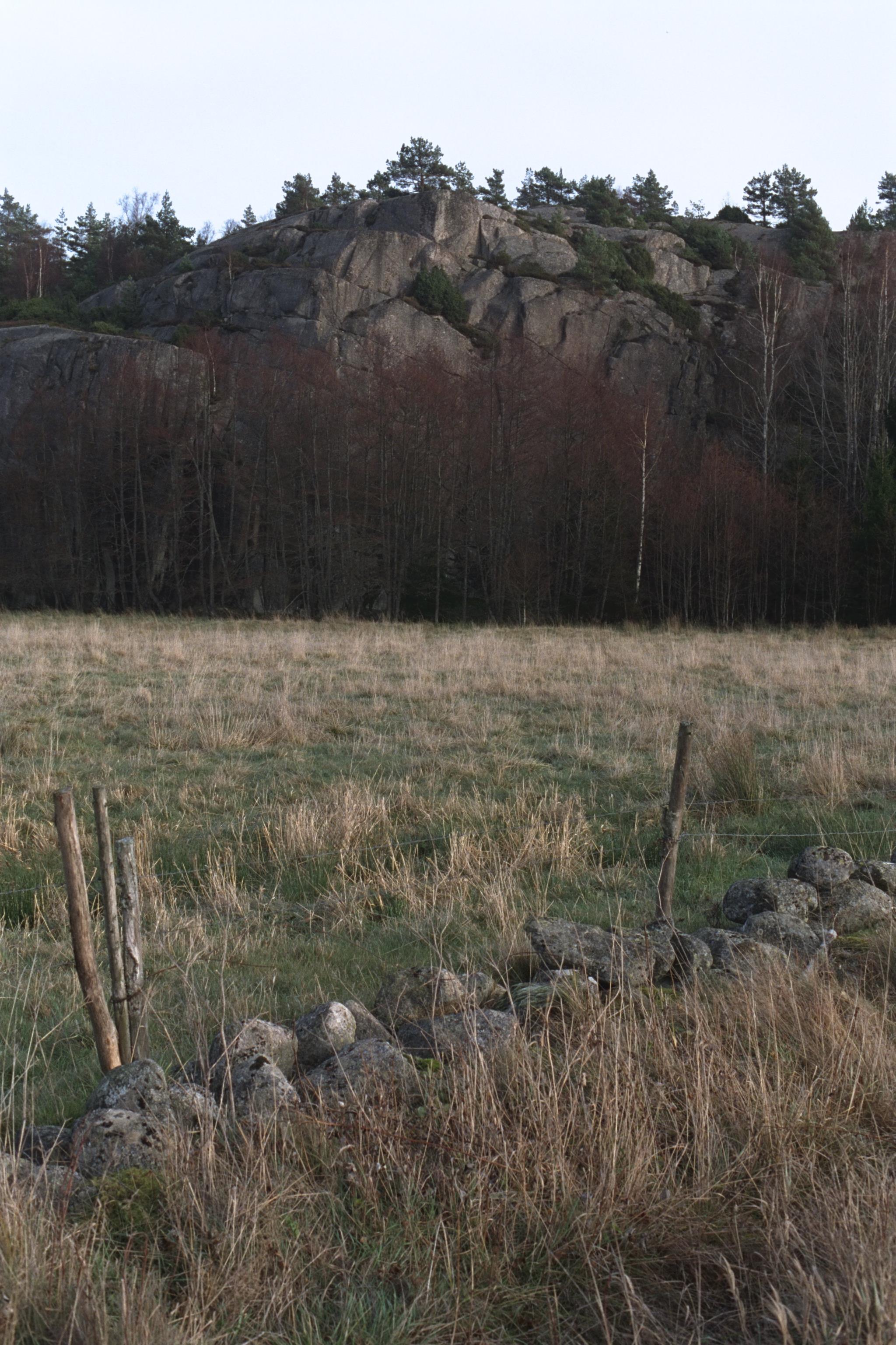 Bengt A Lundberg, Tanum