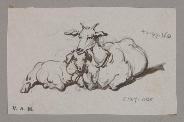George Chinnery, A goat and kid