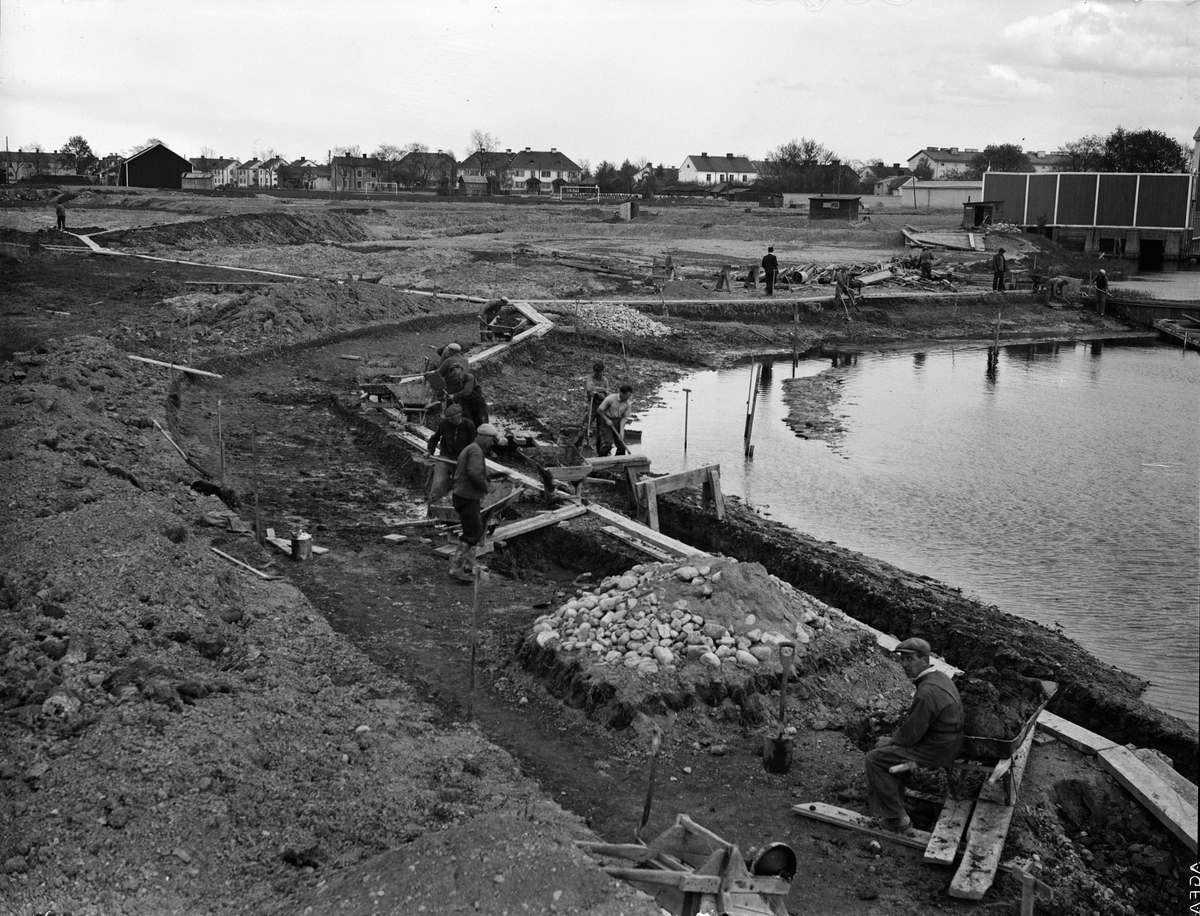 Paul Sandberg, Dike digging, Uppsala May 1937