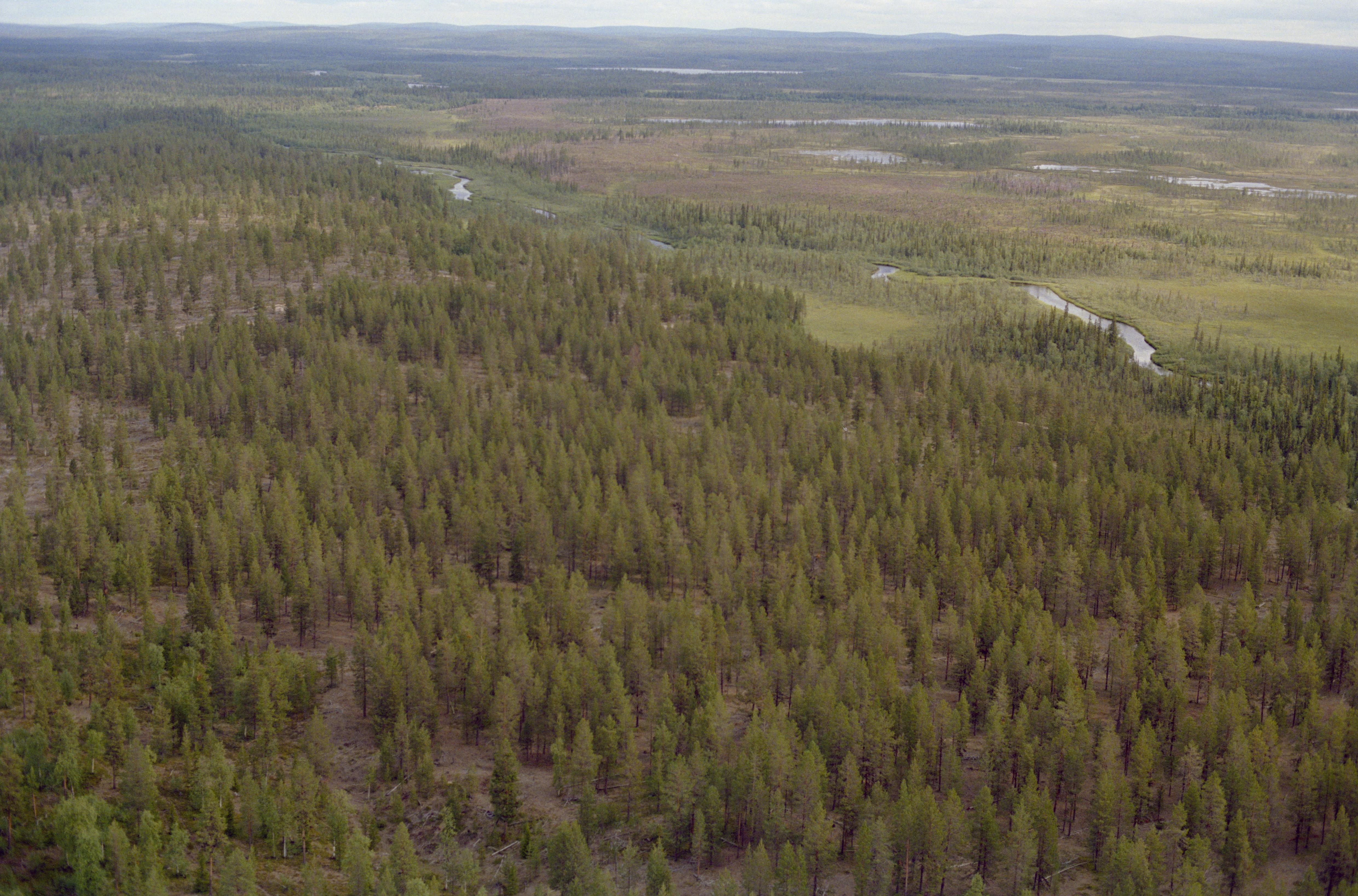 Jan Norrman, Jukkasjärvi 17:1