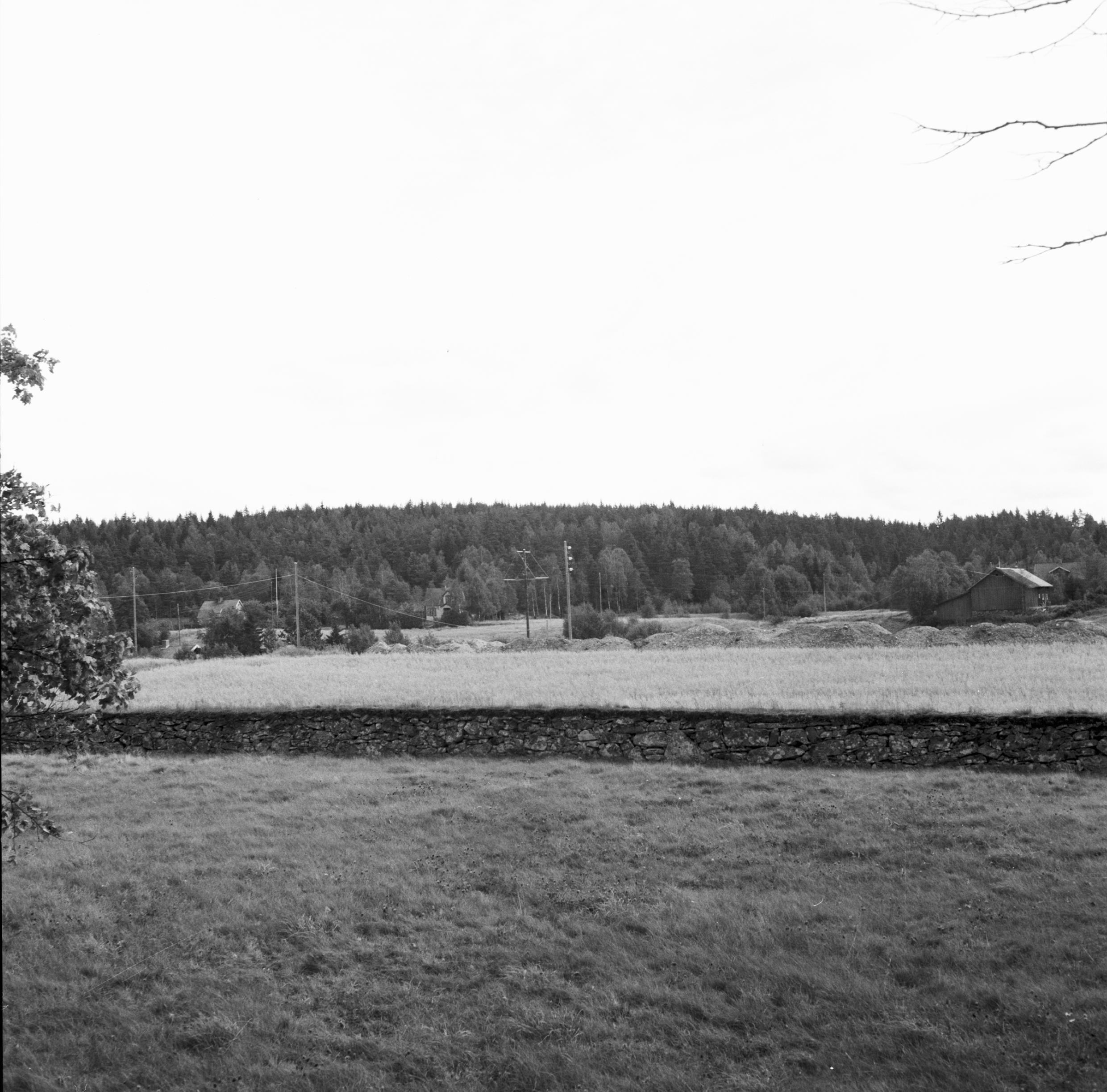 Åke Nisbeth, Skallsjö kyrkoruin