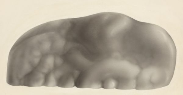 H.G Wetselaar, Sensory organs on an embryo