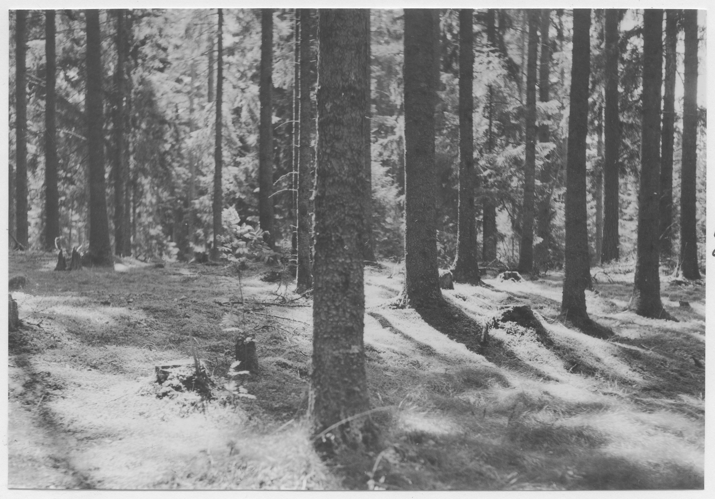 Mårten Sjöbeck, Grusåsen mellan Toftås och Getnö
