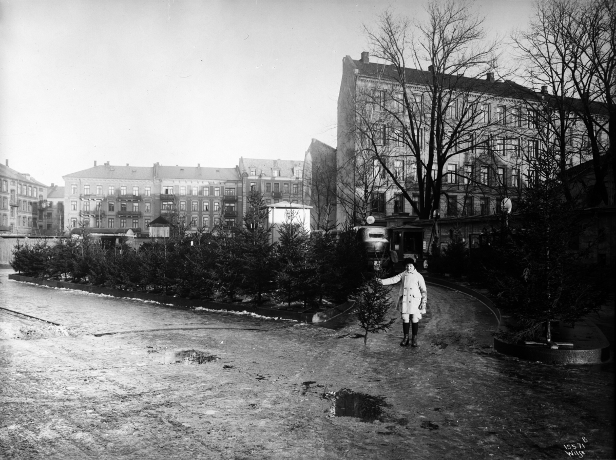 Anders Beer Wilse, Prot: Bentz A/S
