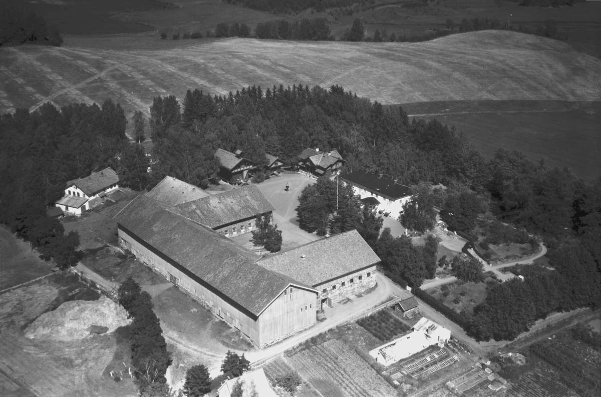 Widerøes Flyveselskap A/S, FLYFOTO BØRSTAD GÅRD