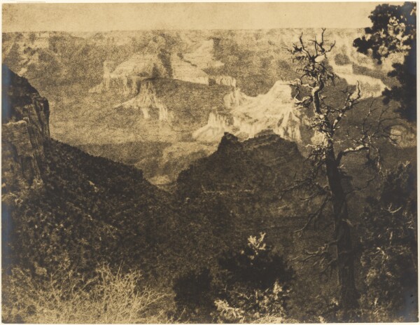 Louis Fleckenstein, [Mountainous Landscape with Bare Tree]
