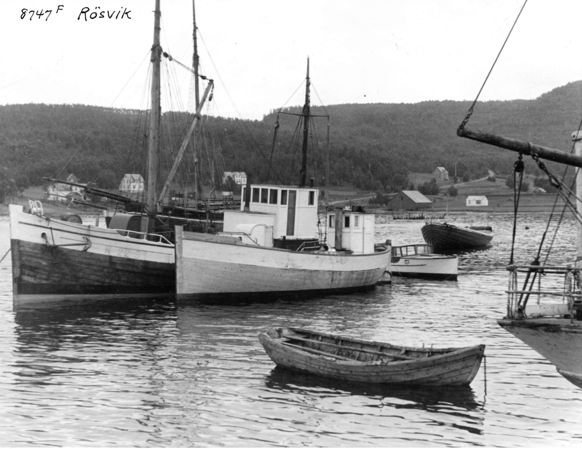 Anders Beer Wilse, Skoyter