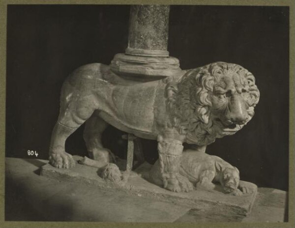 Unknown, Photograph