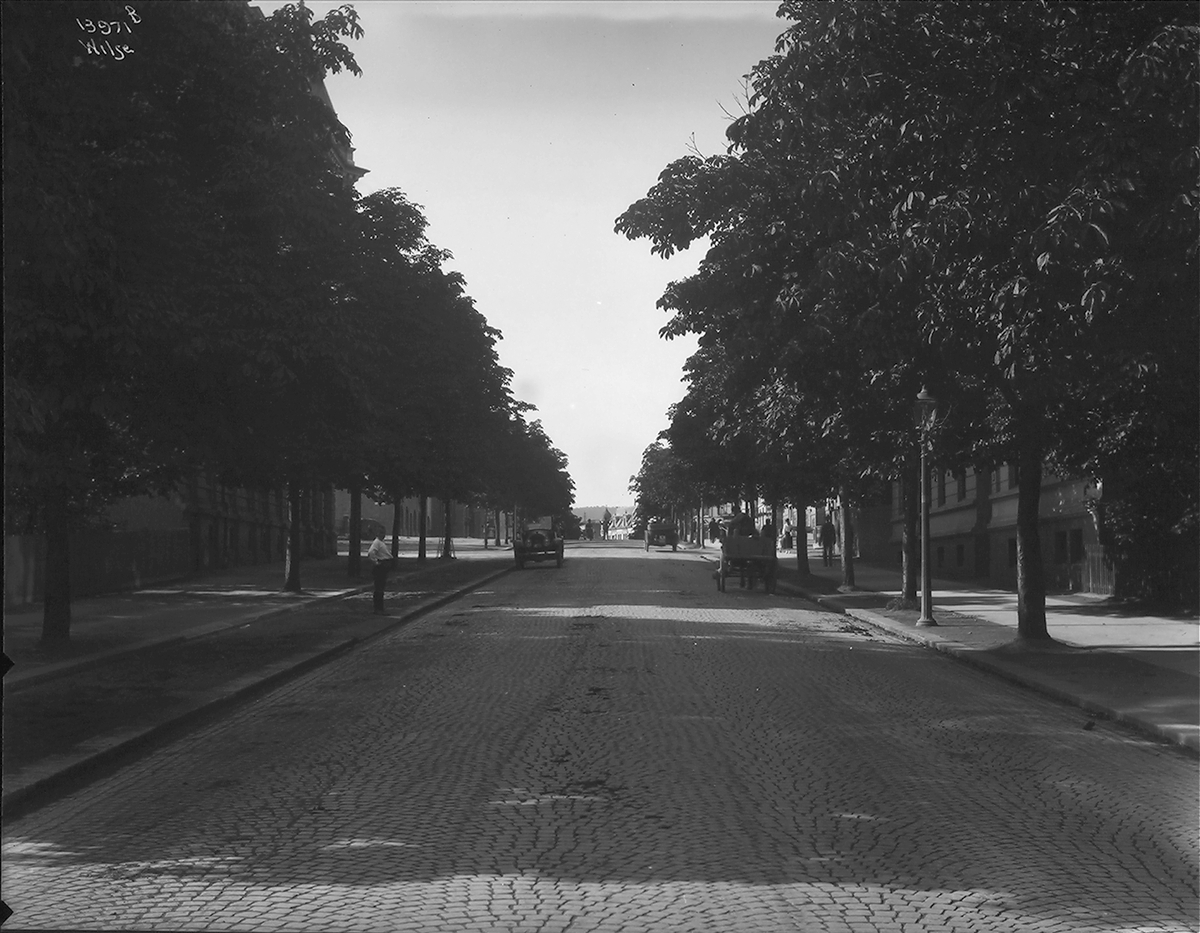 Anders Beer Wilse, Konv: Bygdø alle for byarkitekten