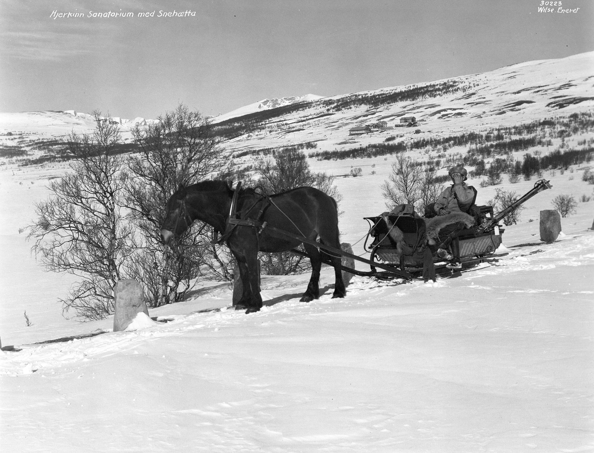 Anders Beer Wilse, Prot: Dovre - Hjerkin sanatorium