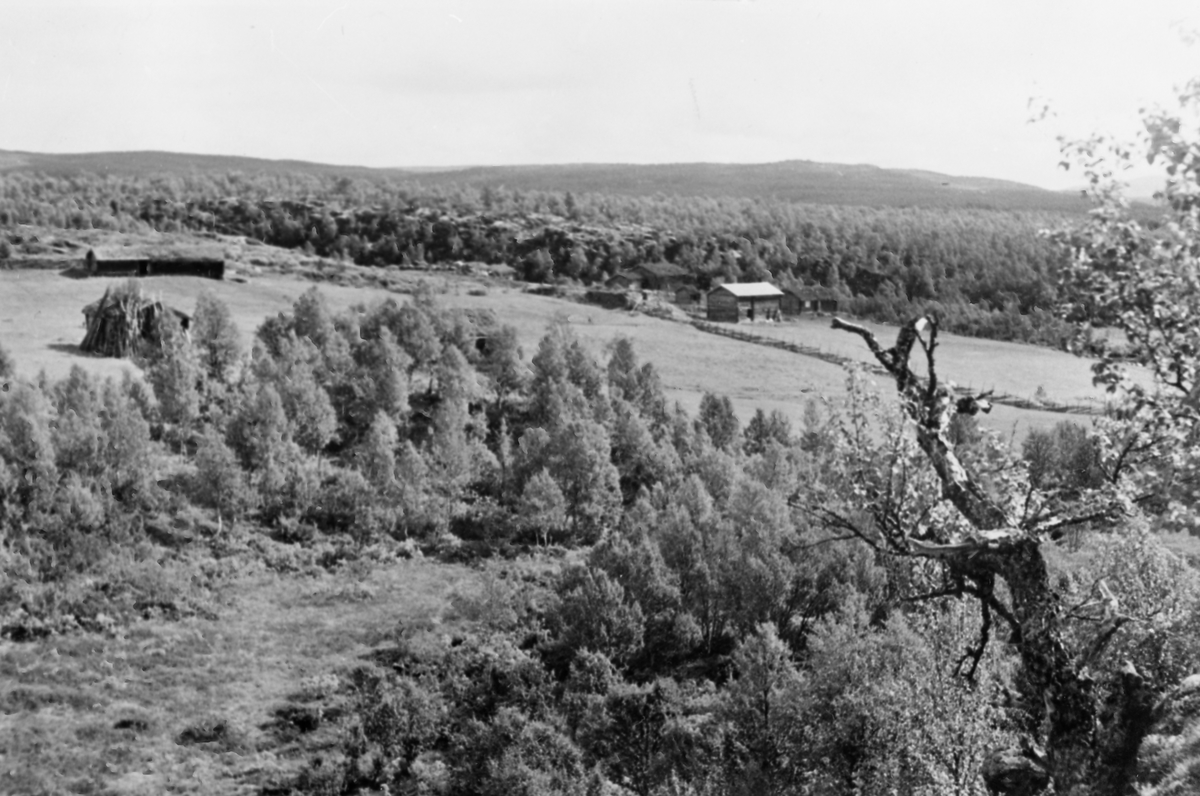 Ukjent, Magnillkroken seter