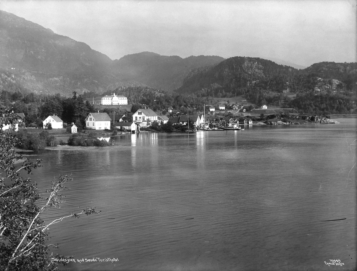 Anders Beer Wilse, Prot: Saudesjøen