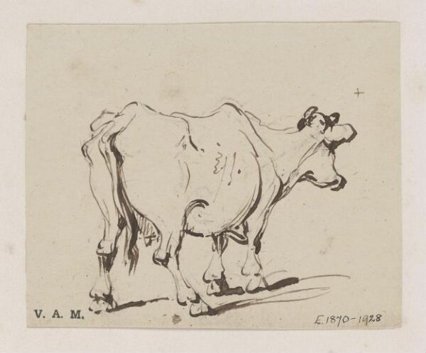 George Chinnery, A study of a cow