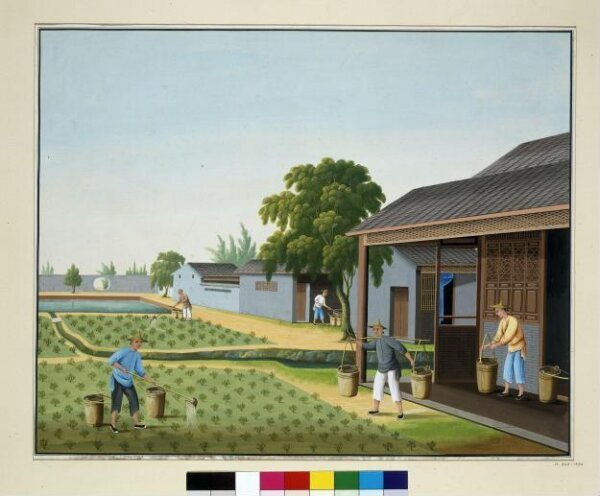 Unknown, Applying Fertiliser