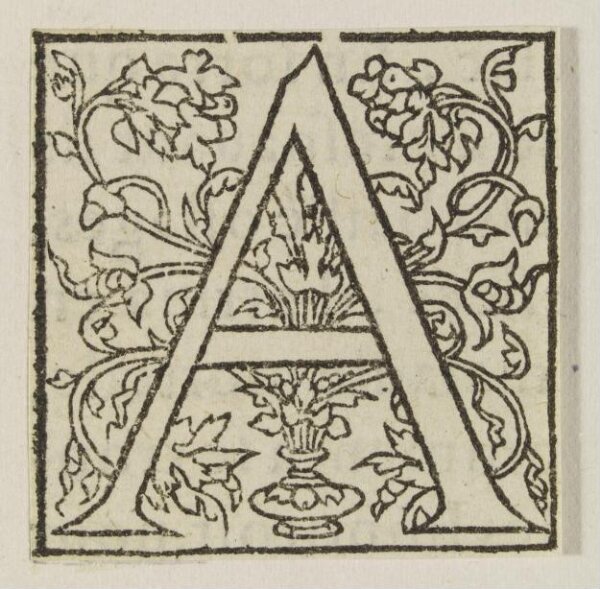 Unknown, Print