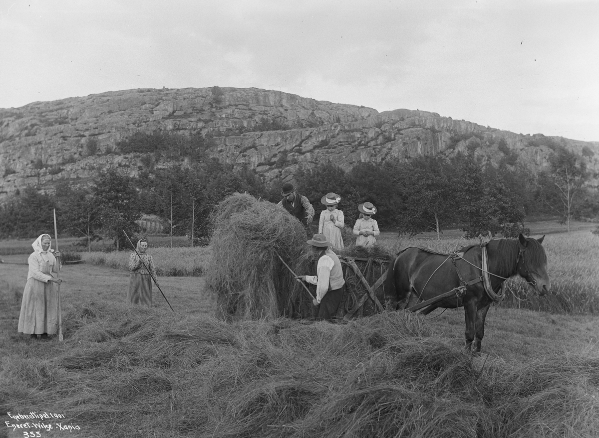 Anders Beer Wilse, Prot: Tjømø Høiaand inkjøring av høiet Juli 1903