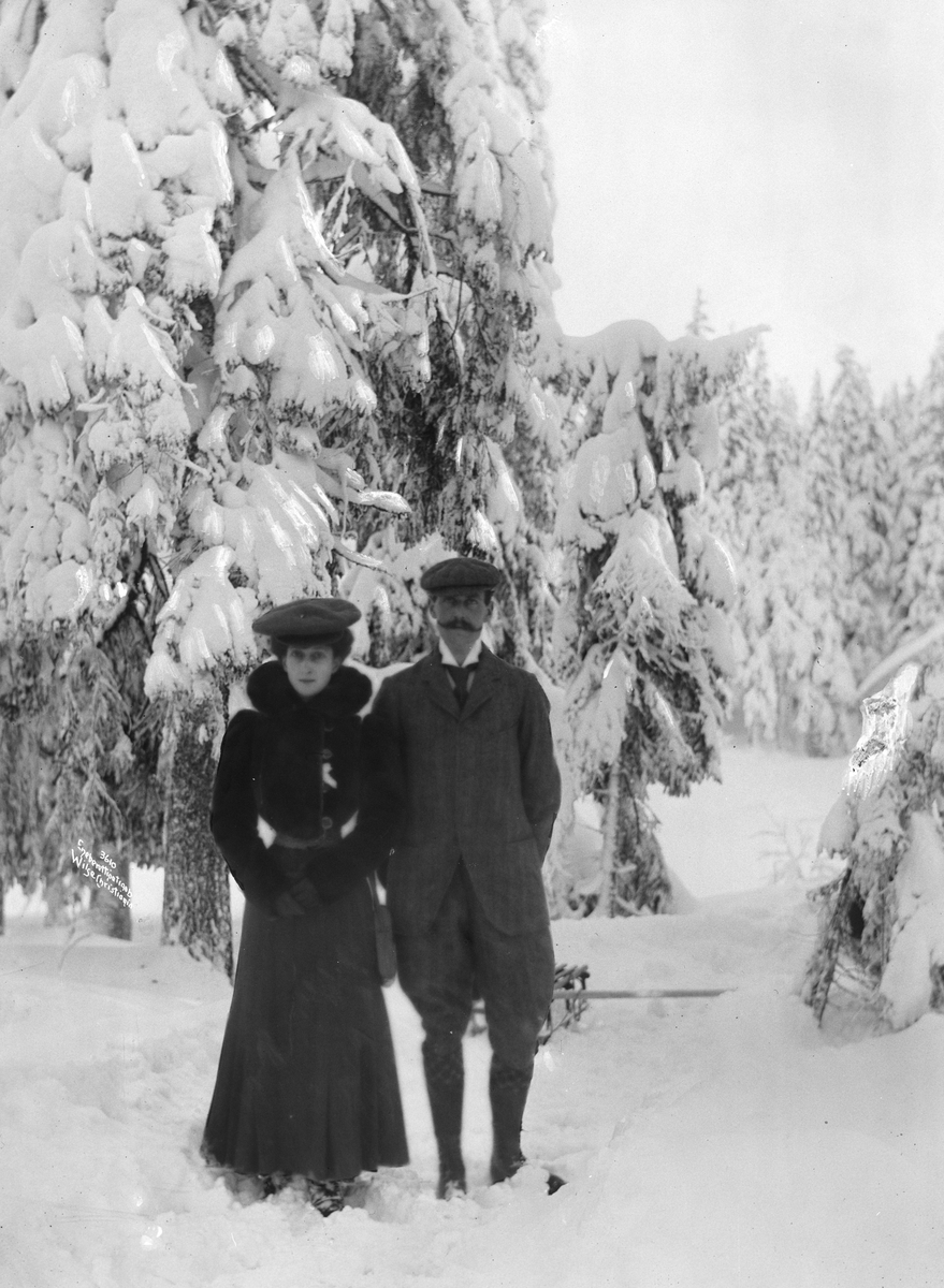 Anders Beer Wilse, Prot: Kongen og Dronningen i Skogen alene 14/1 1906