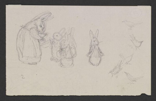 Potter, Beatrix, drawing