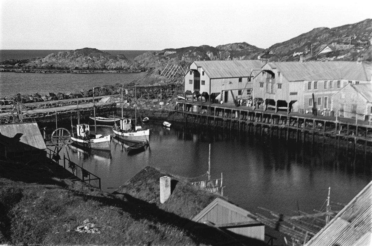 Anders Beer Wilse, Prot: Nyksund