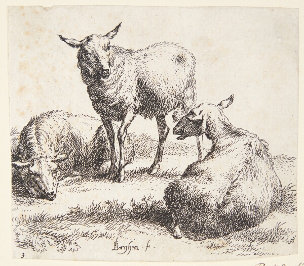 Nicolaes Berchem, To liggende og et stående får