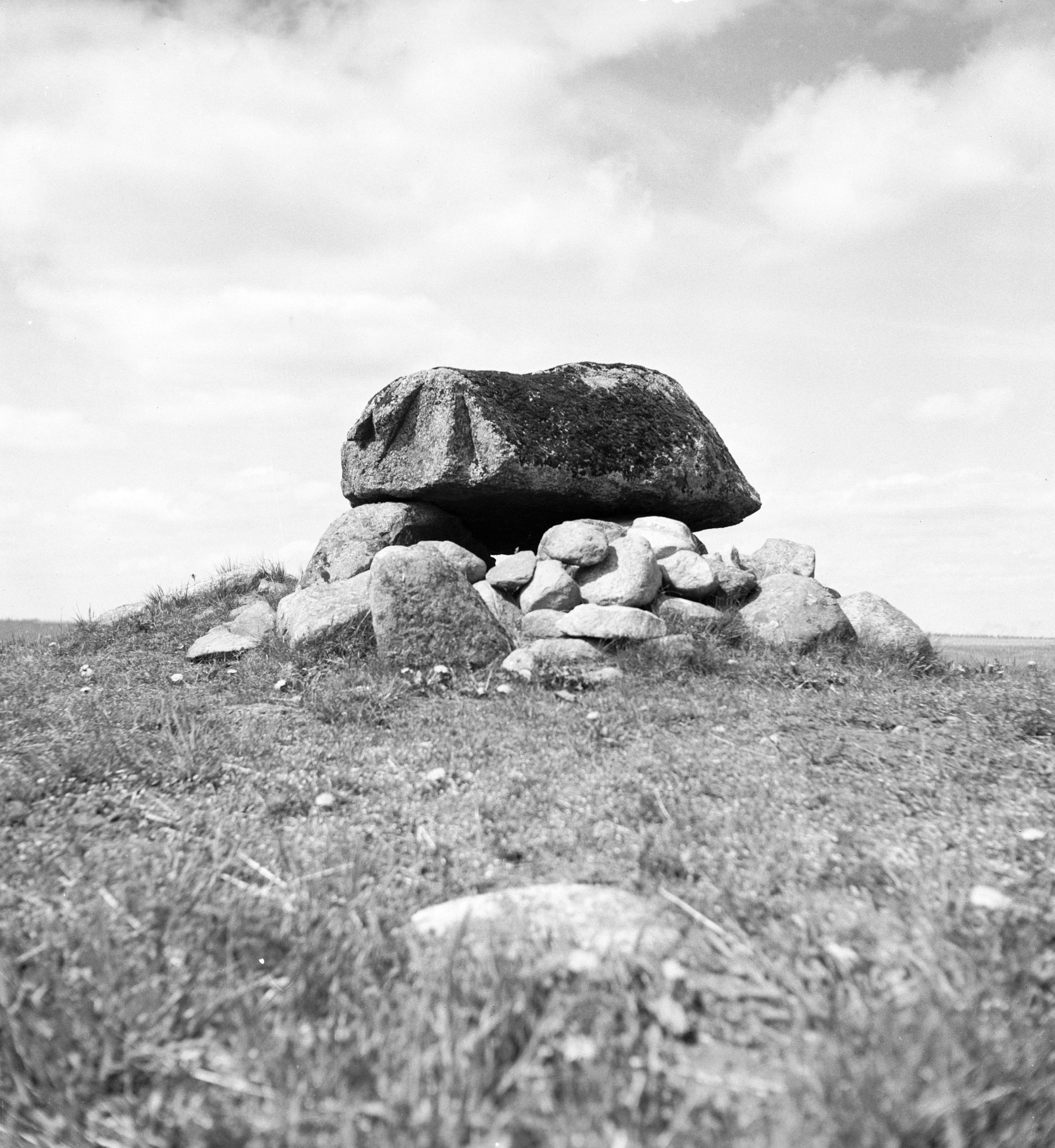 Mårten Sjöbeck, Håslöv, långdös