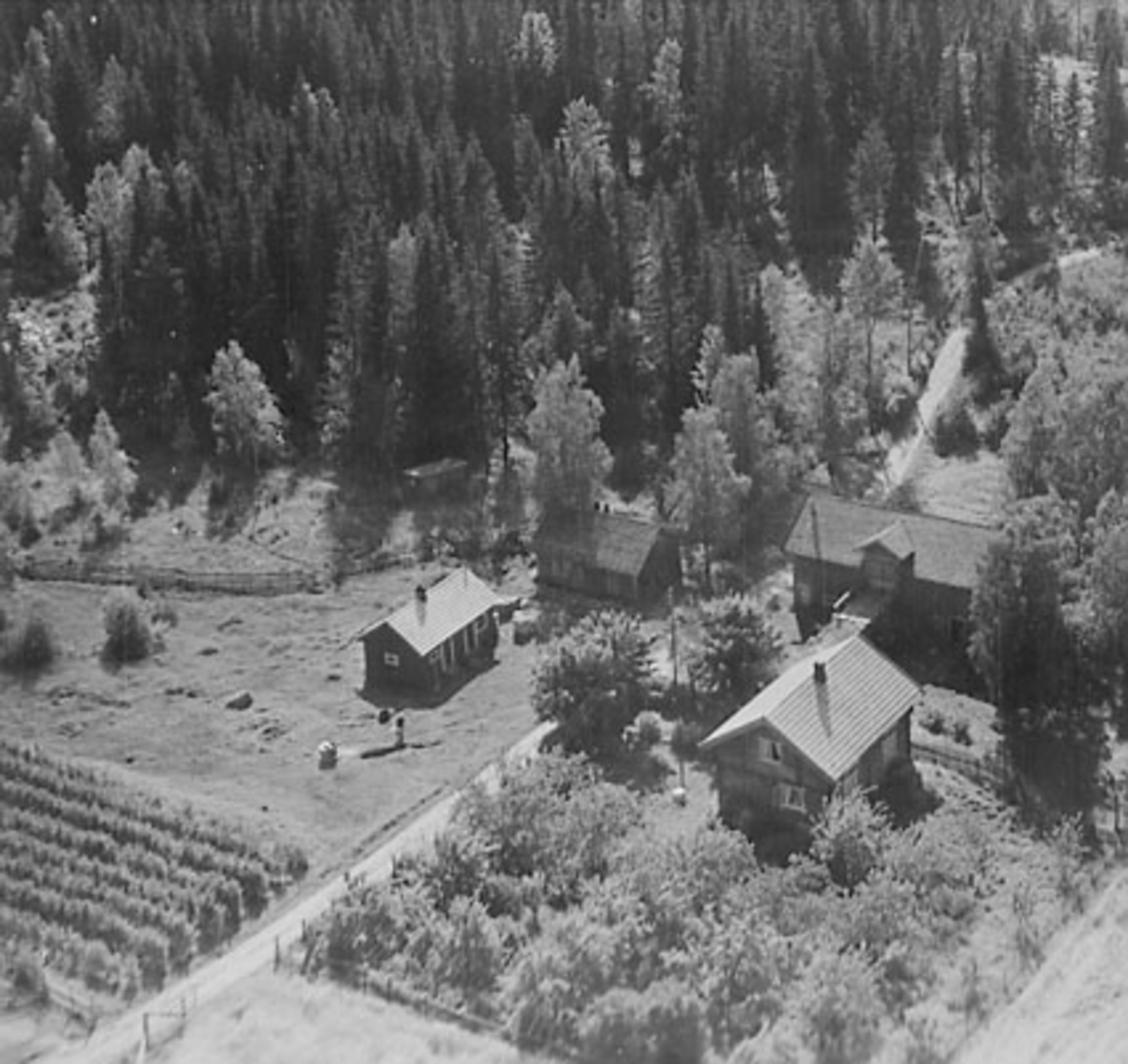 Widerøes Flyveselskap A/S, FLYFOTO ÅSEN VESTRE, ÅSVANG