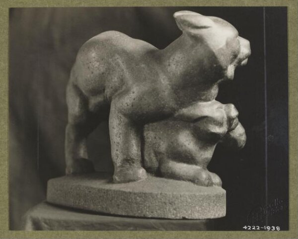 unknown, Photograph