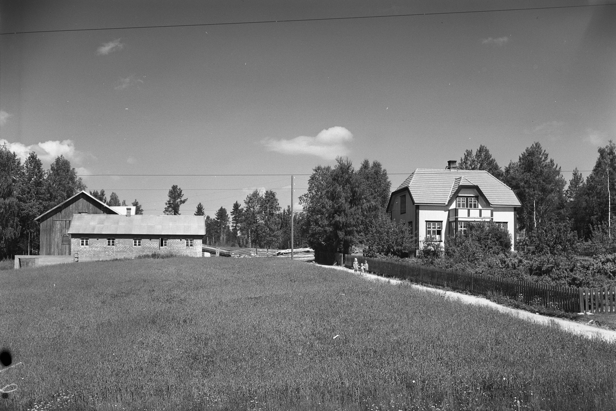 Anno Domkirkeodden, EKSTR: GARDSTUN, ENGESVEEN, LØTEN. Se Løtenboka, bind 3. Bygdeboka fra 1955, side 672