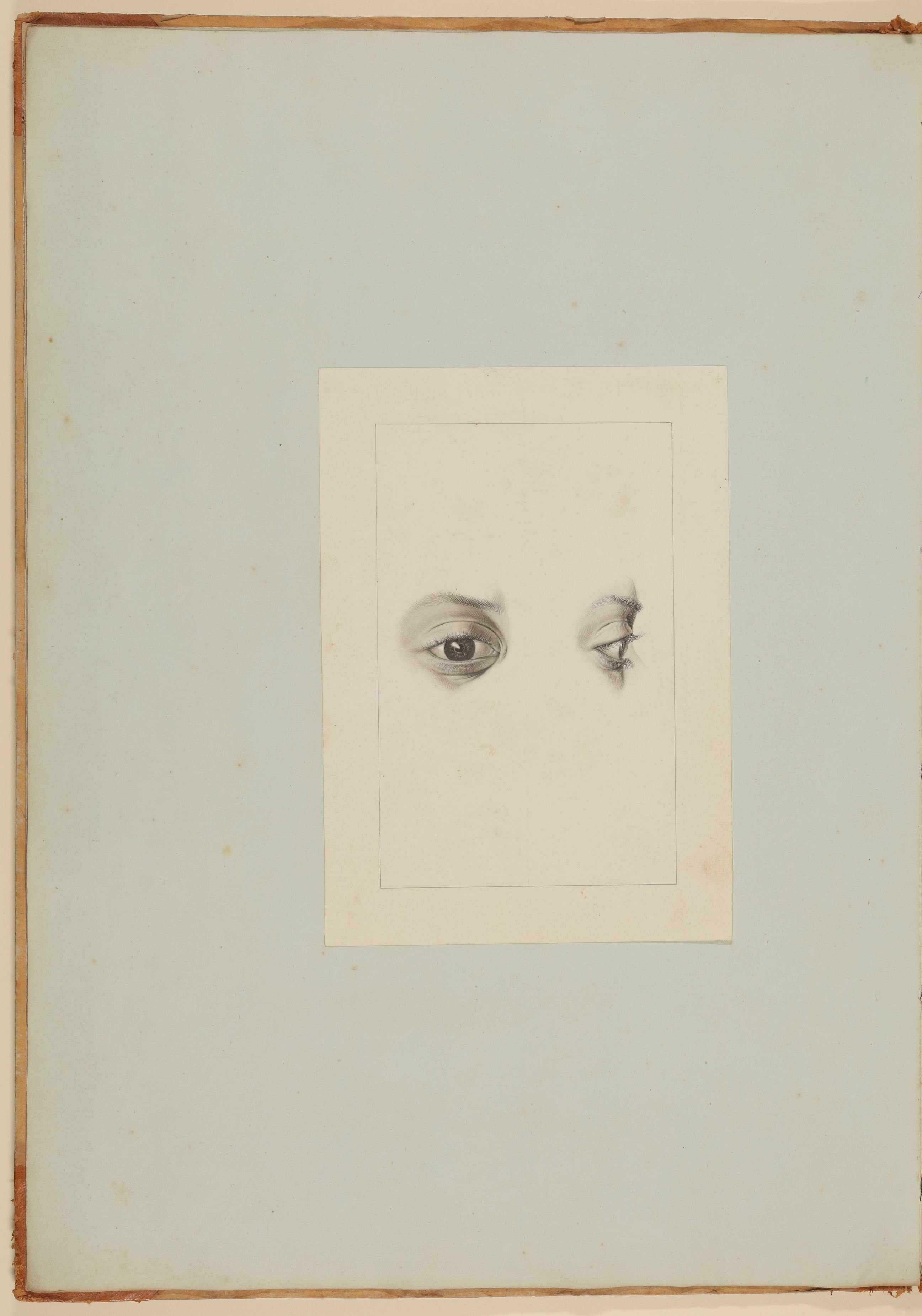 Christian Koeck, Das Auge eines männlichen Afrikaners von ungefähr dreißig Jahren, frontal und im Profil [Vorzeichnung zu Samuel Thomas Soemmerring, Abbildungen des menschlichen Auges, Frankfurt am Main 1801, Tafel I ("schattierte" Darstellung), Fig. 5 und Fig. 6]