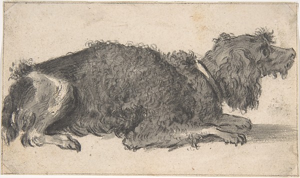 Cornelis Saftleven, A Dog