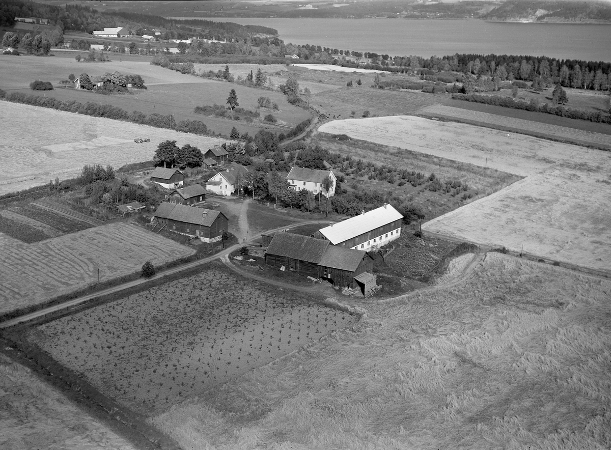 Anno Domkirkeodden, Flyfoto, gardsbruk, Balstad, Nes, Hedmark.