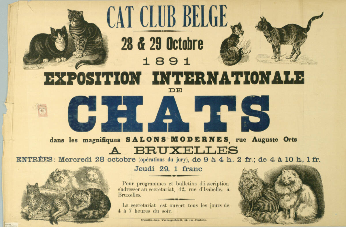 Anonym, CAT CLUB BELGE; 28 & 29 Octobre 1891; EXPOSITION INTERNATIONALE DE CHATS; SALONS MODERNES; BRUXELLES