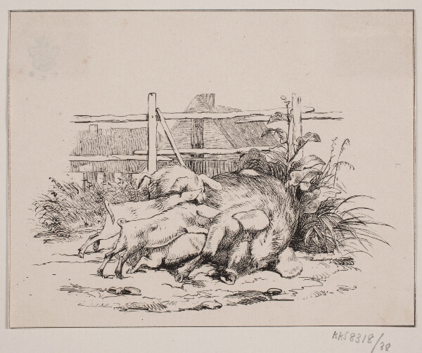 Adolph Kittendorff, Grisene