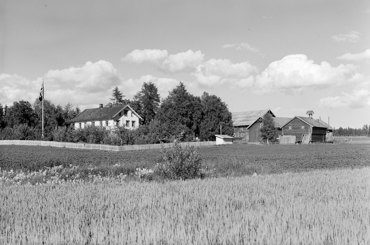 Anno Domkirkeodden, EKSTR: GARDSTUN, FINNSTAD STORE. Se Løtenboka, bind 3. Bygdeboka fra 1955, side 64