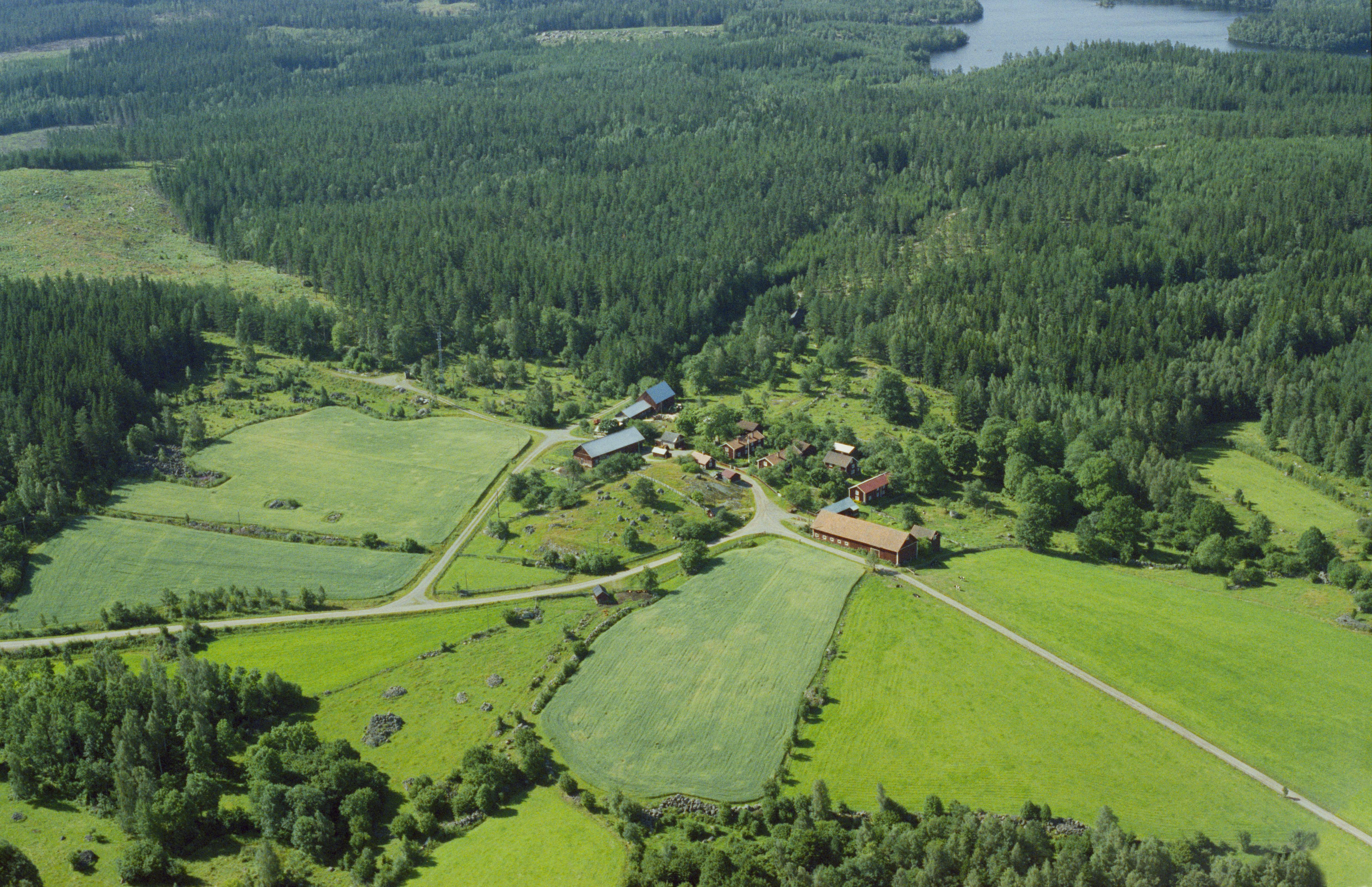 Jan Norrman, Kisa 19:1