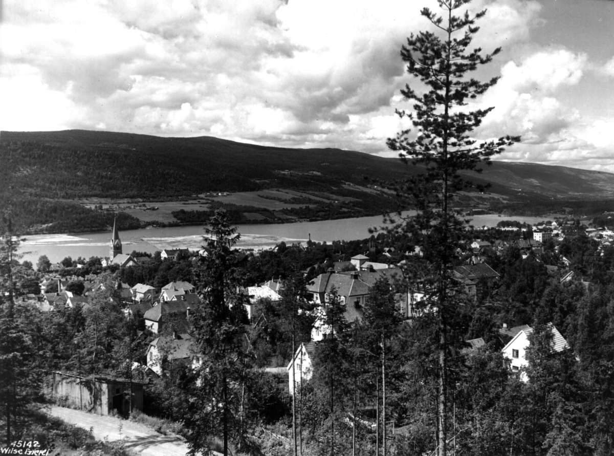 Anders Beer Wilse, Oversiktsbilde Lillehammer